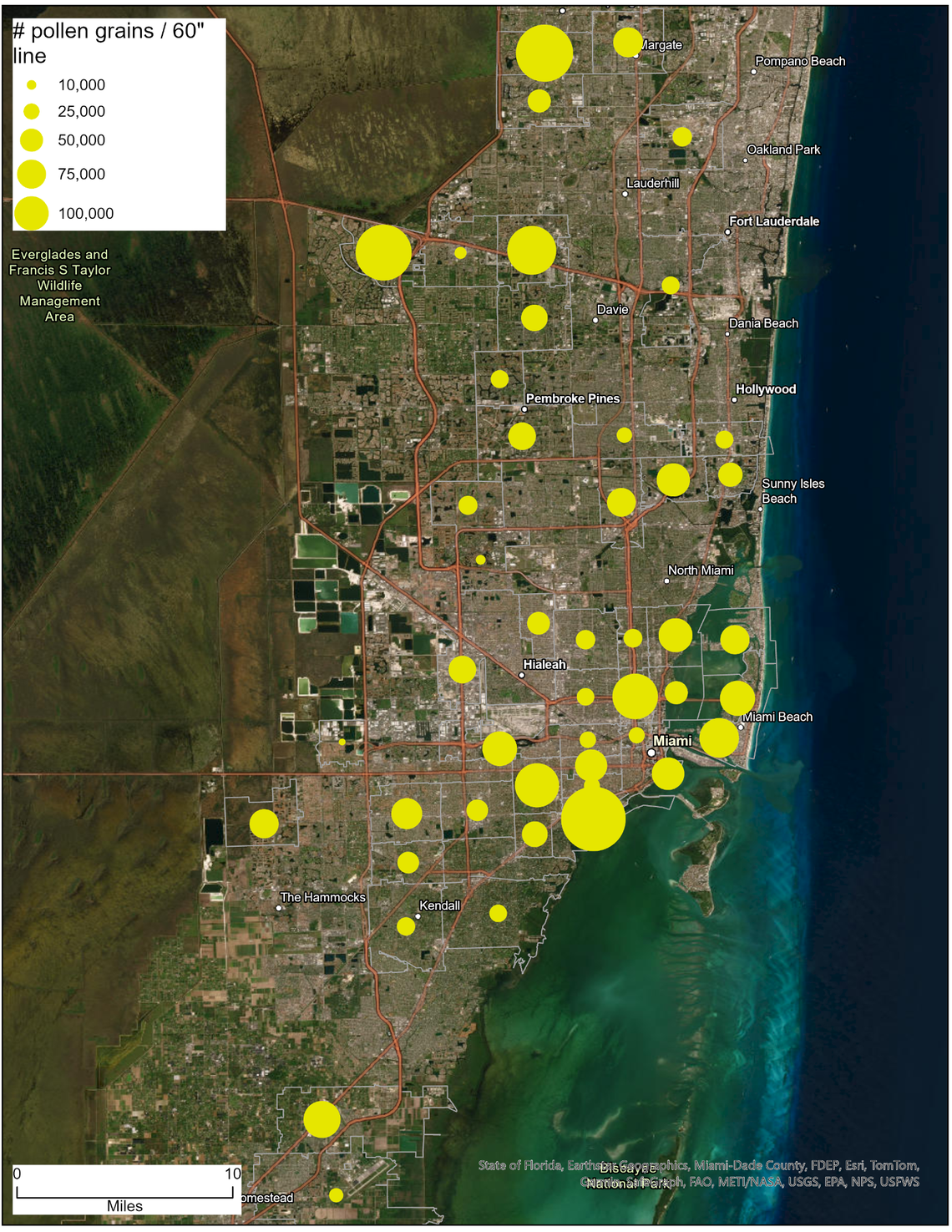 This aggregated map shows collected windshield pollen count by ZIP code. The larger the circle, the more pollen was recorded in that ZIP code during a two-day pollen windshield experiment conducted by UM professor Naresh Kumar and his team during South Florida’s peak pollen season in March 2025. Only participants who parked their cars outside were included in this map.