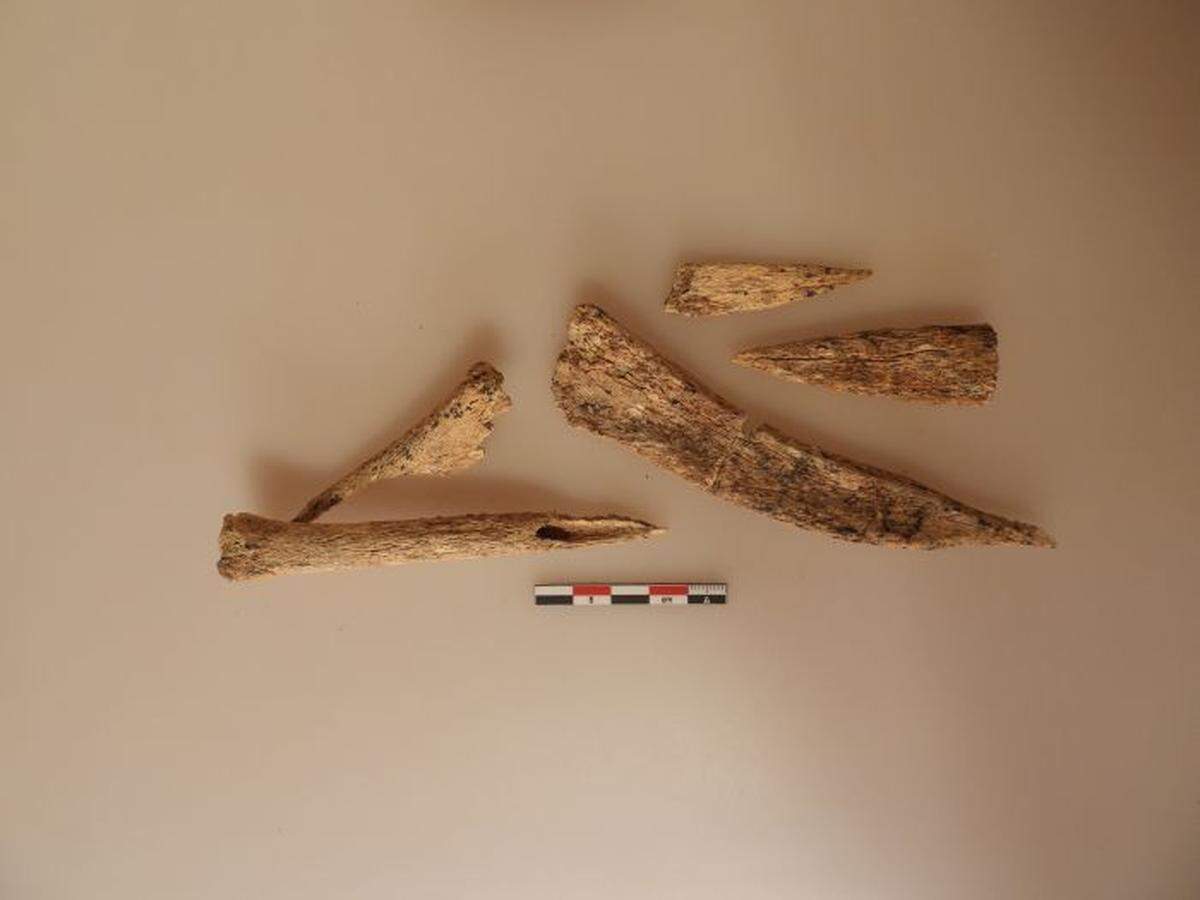 A set of bone tools.