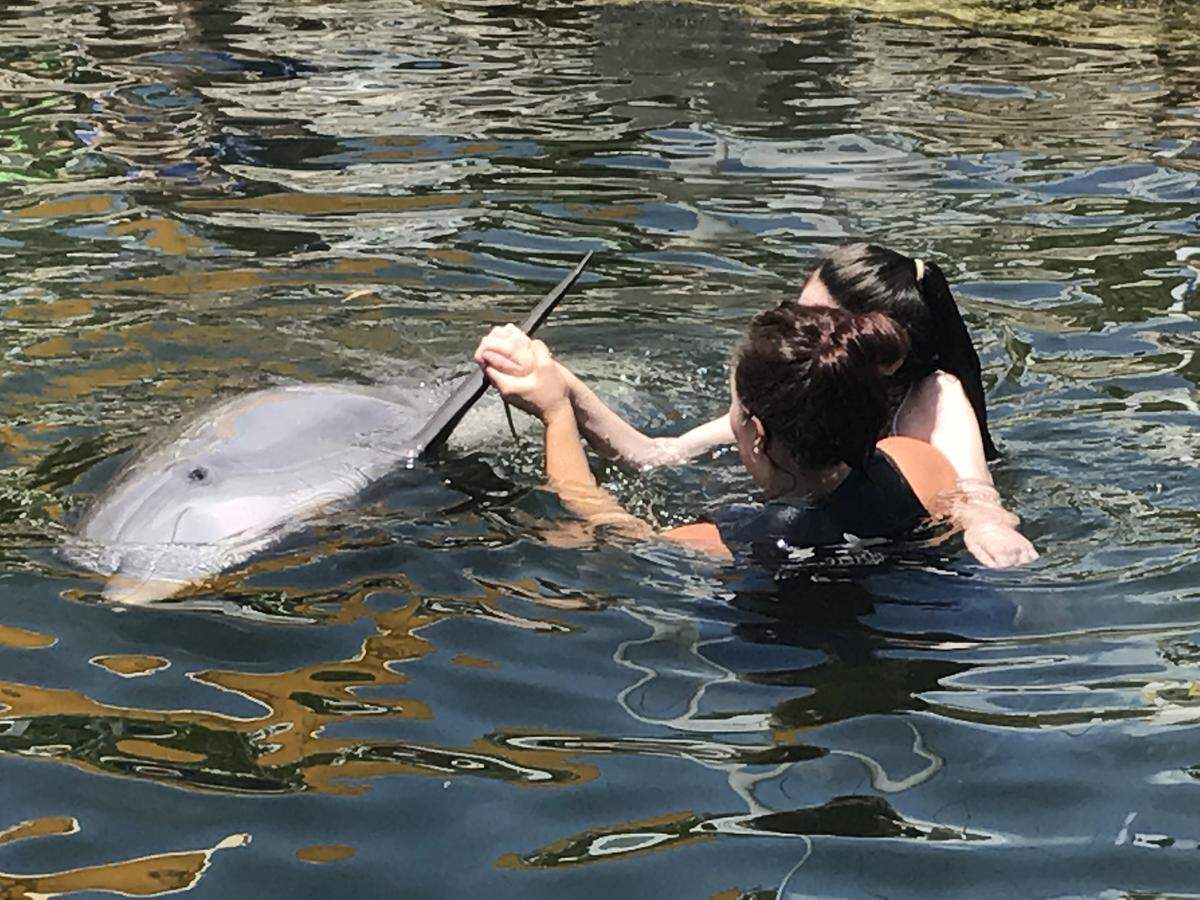 Island Dolphin Care assisted-animal therapist Danielle Smalling holds Ashtyn Montali, 15, from Boynton Beach, at the Key Largo marine mammal facility on Wednesday, June 5, 2019, while Ashtyn grabs the dorsal fin of a bottlenose dolphin.