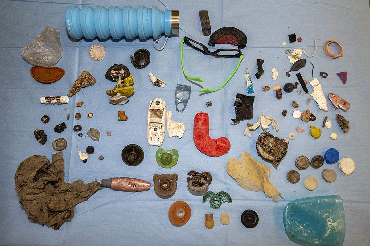 Pictured is a collections of items that animals at Zoo Miami ingested.
