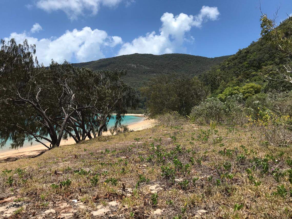 One of the beaches of Scawfell Island.