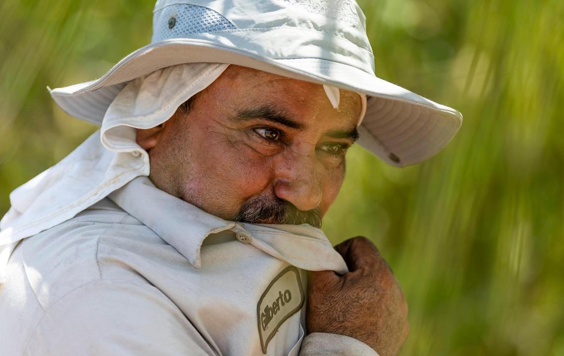 Gilberto Lujano wipes sweat from his face while working on a roof. “In the morning, it’s the humidity that gets you. You’re in the shade and you sweat and you sweat,” he said. “But in the afternoon, in July and August, you get the sun that feels like it’s burning your back.”