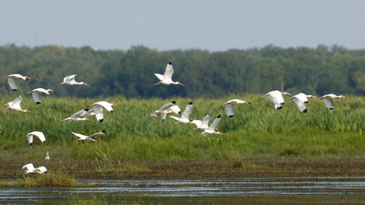 Advocates pushing for Everglades restoration are concerned about a possible delay in getting the massive project completed.