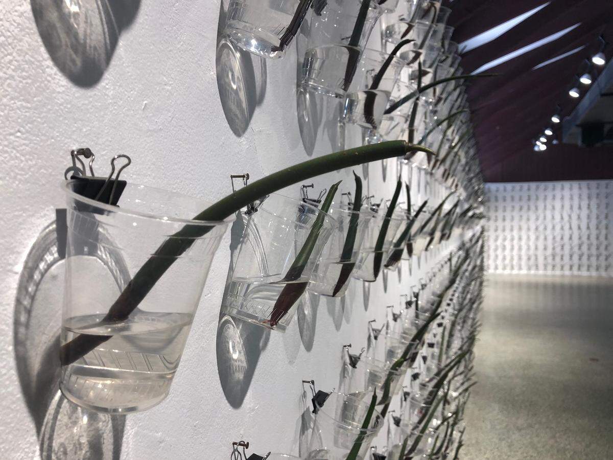 Plan(T) Art Exhibit, by Xavier Cortada, will be on display in Pinecrest Gardens.