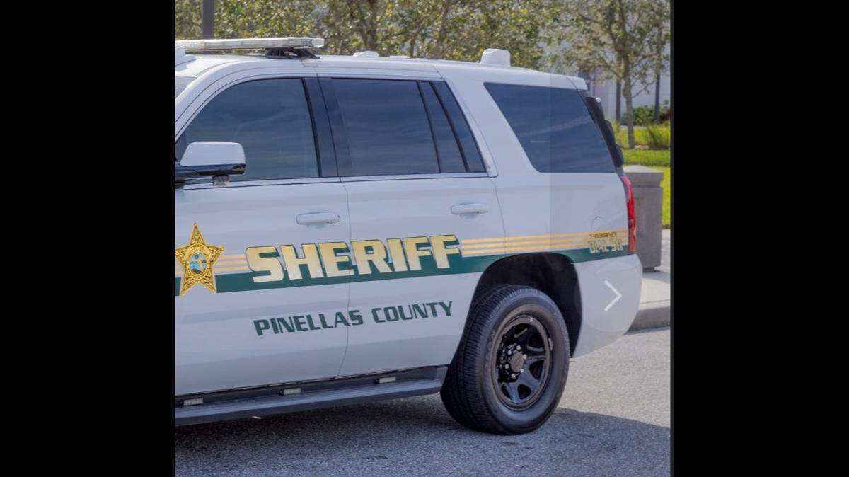 The Pinellas County Sheriff’s Office responded to a call about an alligator in Seminole from a concerned citizen.