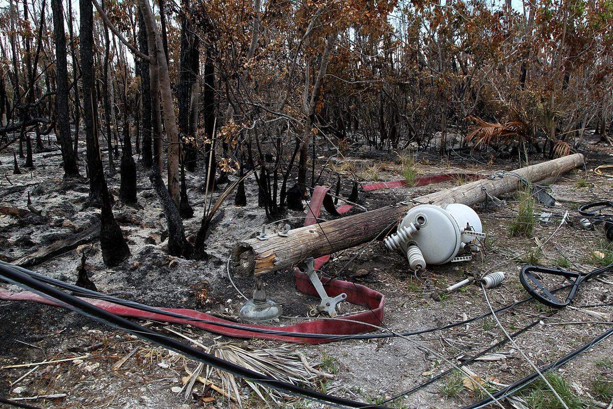 A power pole that was knocked down in a burned area affected by brush fires on Big Pine Key.