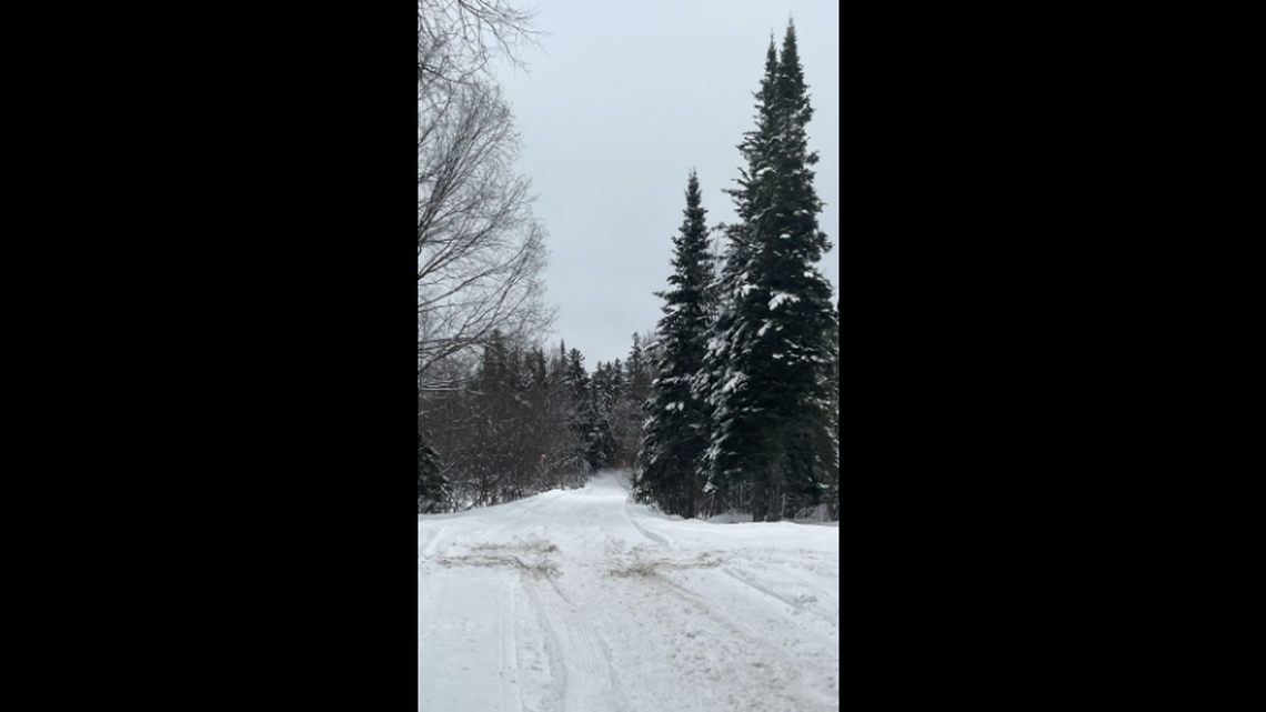The electric car made it four miles before getting stuck on the Elm Lake Road Snowmobile Trail., the New York Department of Environmental Conservation said in a Feb. 6 Facebook post.