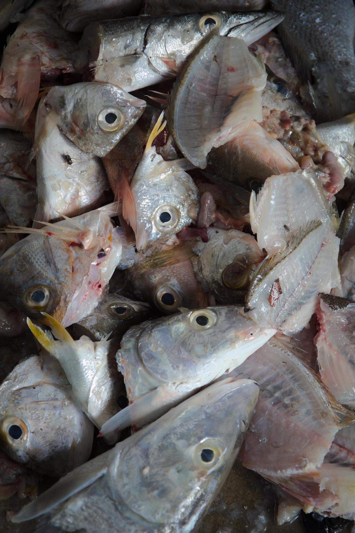 Fishing is a way of life in Cajio Beach.
