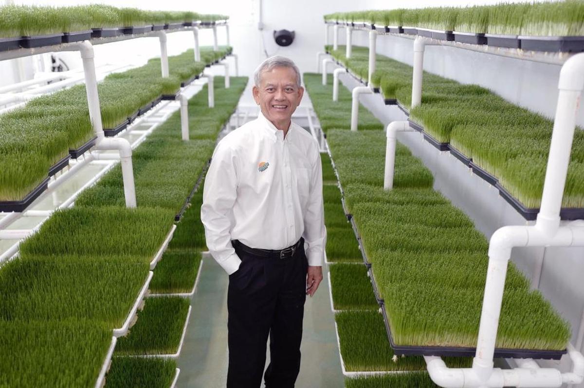 Manny Wong is president, CEO and owner of Fullei Fresh, a family-owed small business that grows 18 varieties of sprouts and shoots (bean and soy sprouts, alfalfa, etc.). The company sells these products through distributors and wholesalers, who in turn sell to markets and other retail outlets.