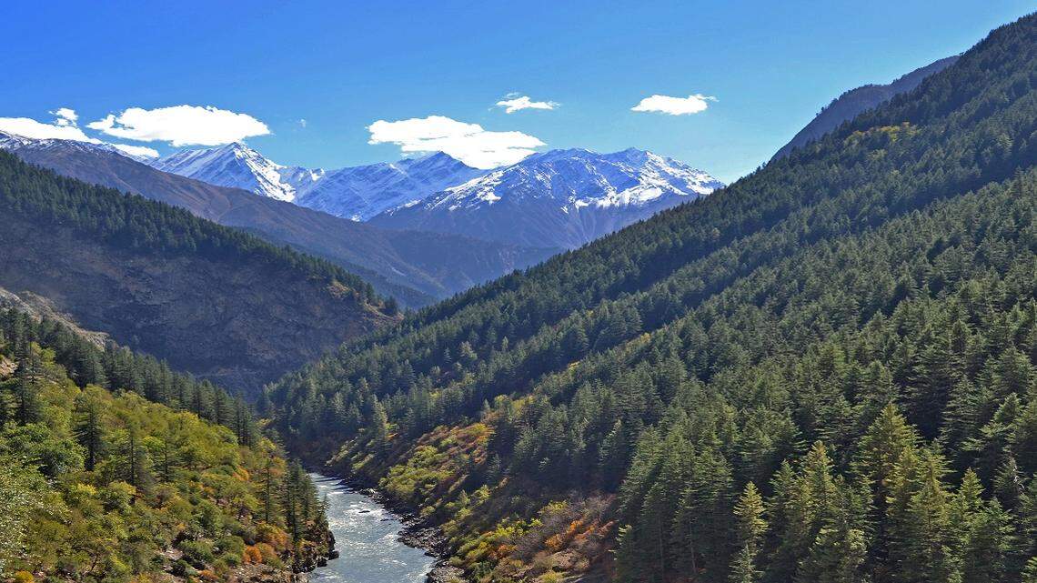A family of animals often called the “ghost of the mountains” were seen on Himachal Pradesh’s rocky slopes, video shows.