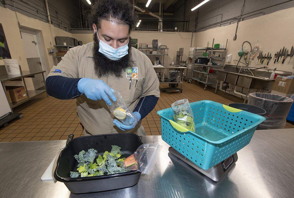 Zoo Miami keeper Daniel Motino prepares food for the animals April 6, 2020.