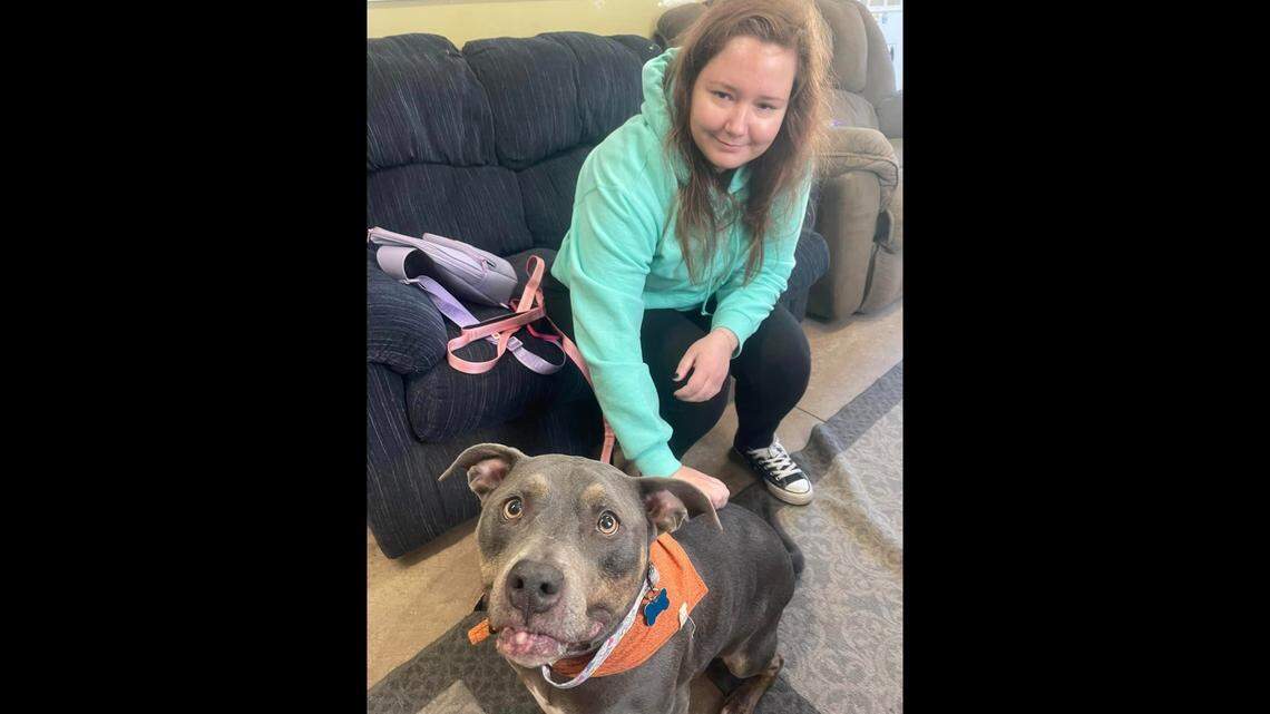 A woman named Kaitlyn adopted Ella after noticing her familiar bandanna.