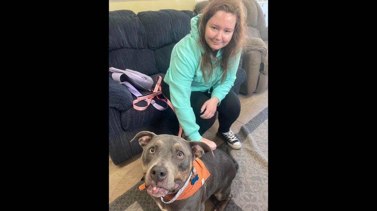 A woman named Kaitlyn adopted Ella after noticing her familiar bandanna.