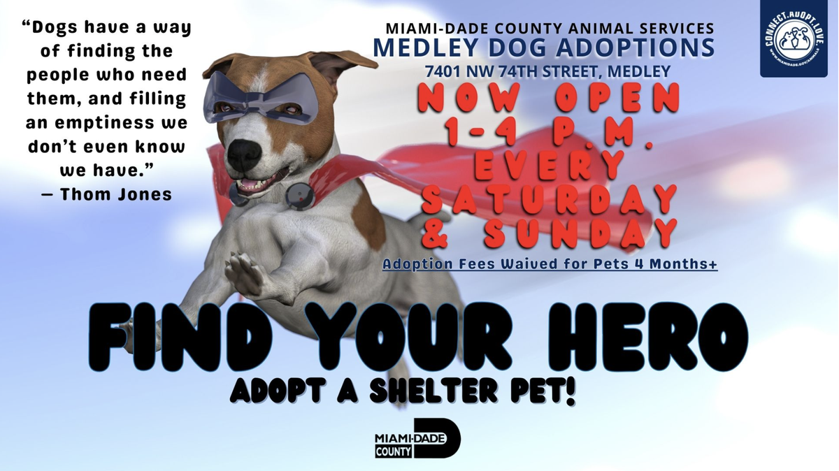 Photo courtesy of Miami-Dade Animal Services