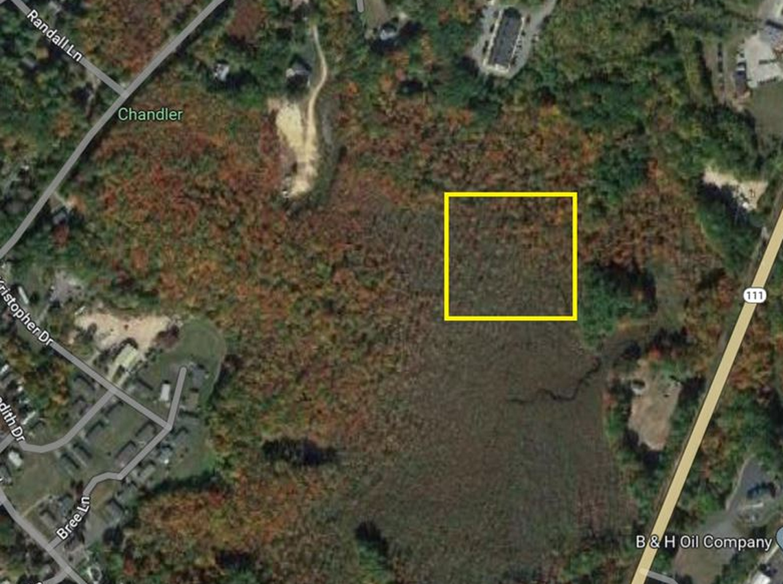 Where the remains were discovered in the swamp, according to Hampstead Police