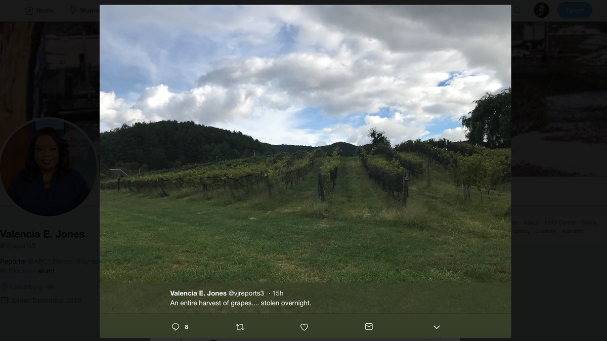 David Dunkenberger, one of the owners of the Firefly Hill Vineyards in Virginia, said that someone appeared to have stolen 2.5 tons of grapes worth $50,000 in the middle of the night. He didn’t mince words.