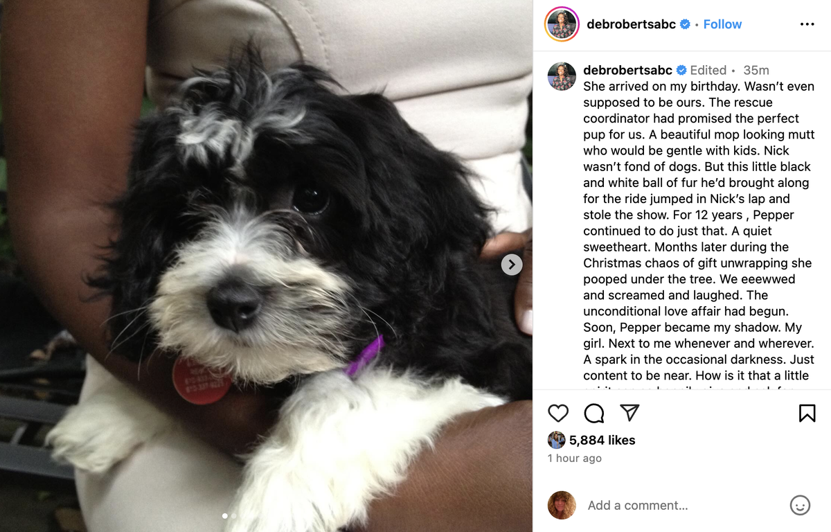 Al Roker and Deborah Roberts announce death of beloved dog.