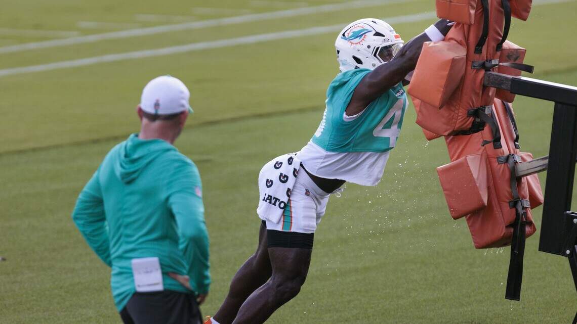 Dolphins Stock Report (Day 1): Defense dominates day one