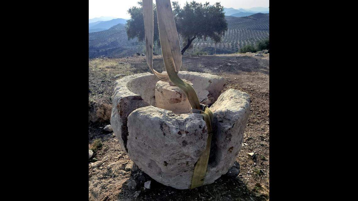 A farmer near Baena uprooted a tree and uncovered an ancient Roman artifact for pressing olive oil, archaeologists and officials said.