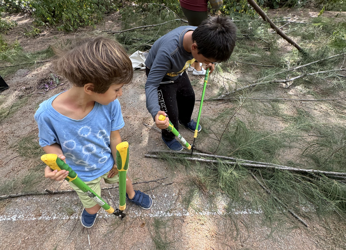 The environmental group, Urban Paradise Guild, is helping interested harvesters cut down the invasive Australian Pine at Arch Creek Park to take home.&nbsp;