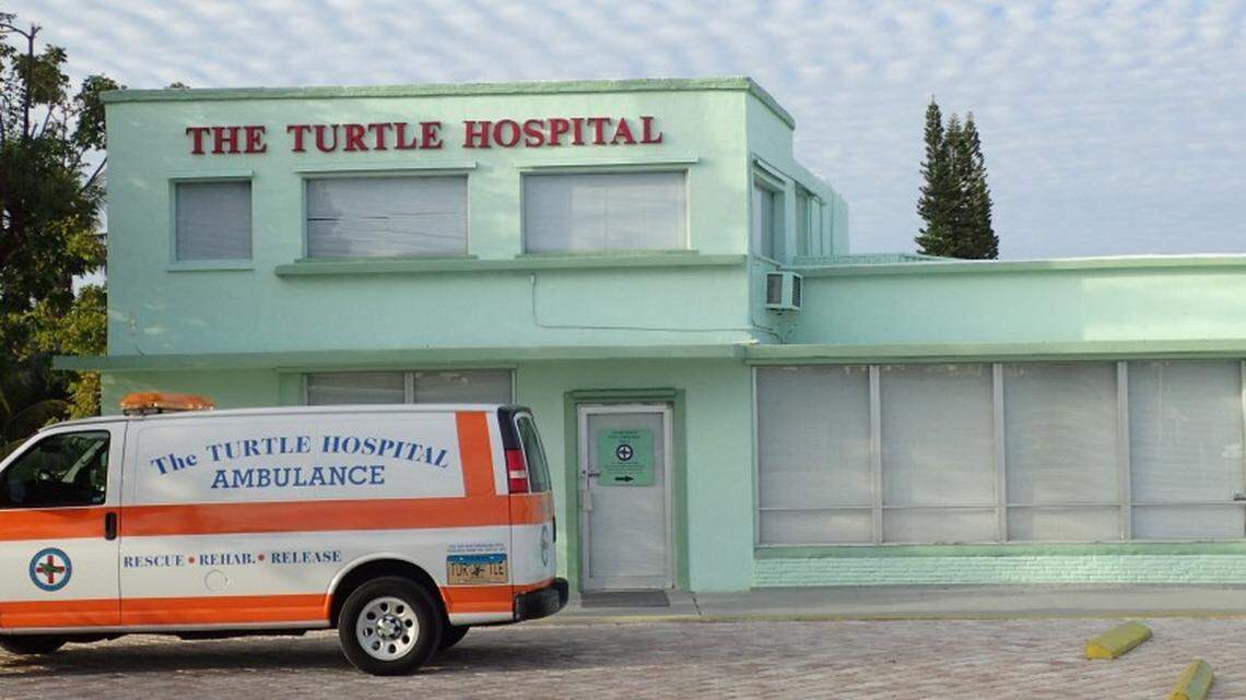 The Turtle Hospital in Marathon