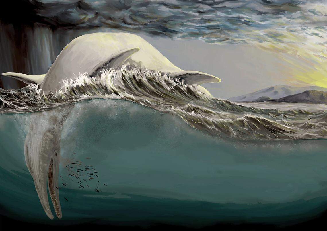 Ichthyosaurs were an apex predator in their time, and may have used similar hunting techniques to other large, ocean creatures known today.