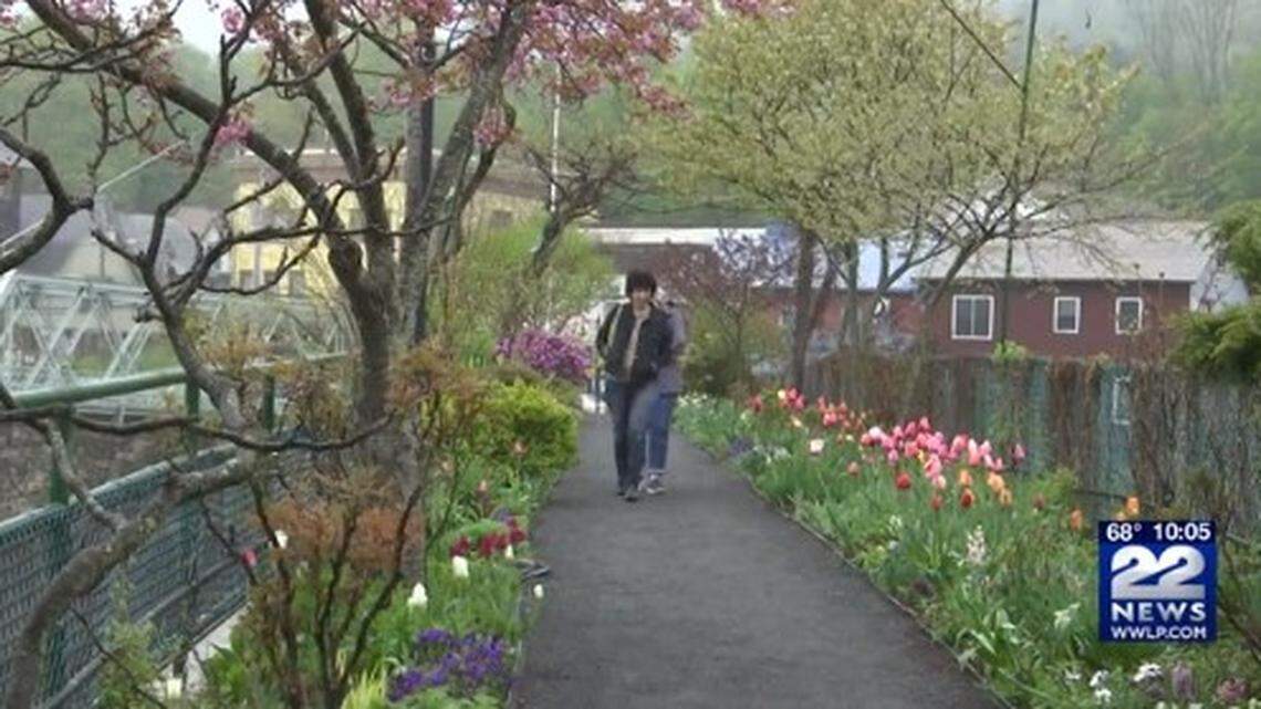 The picturesque Bridge of Flowers in Shelburne Falls, Massachusetts, has an unusual problem.