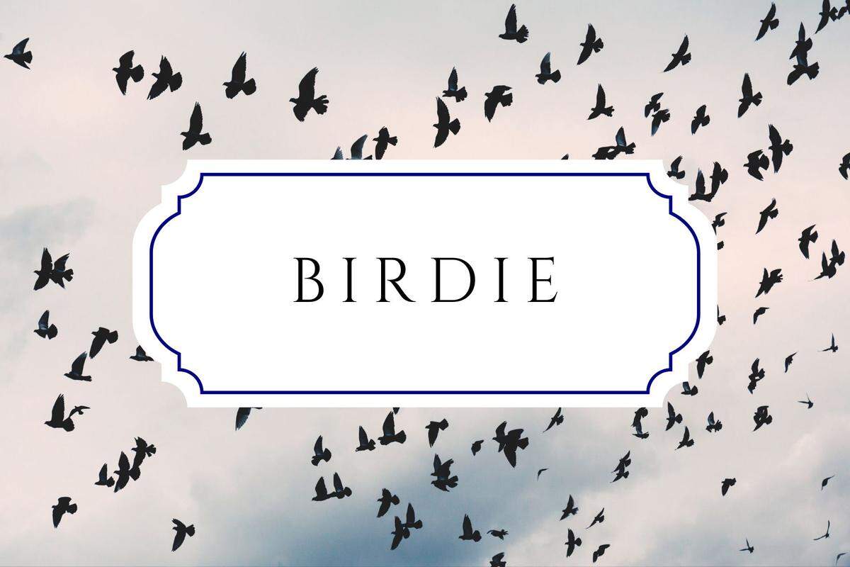 unique nature names birdie