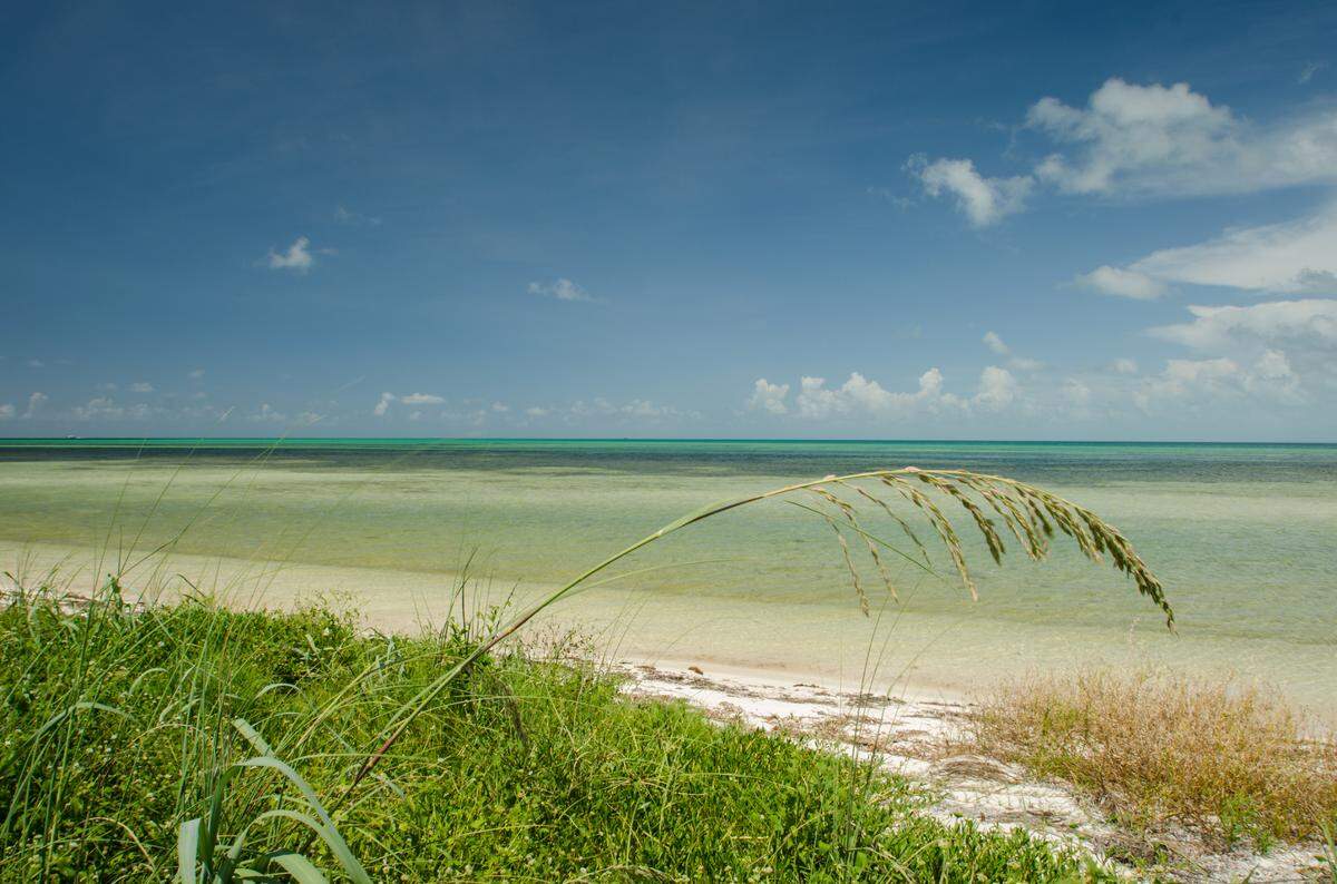 About half of the beach at Boca Grande Beach, off Key West, is closed to protect wildlife.