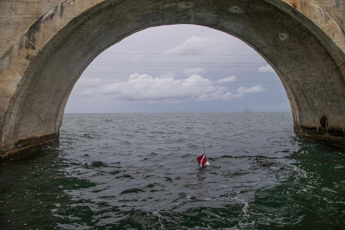 View of a diver attempting to capture some Florida spiny lobsters during the first day of lobster miniseason under a section of the old bridge on U.S. 1 heading to Key West in the Florida Keys on Wednesday, July 26, 2023.