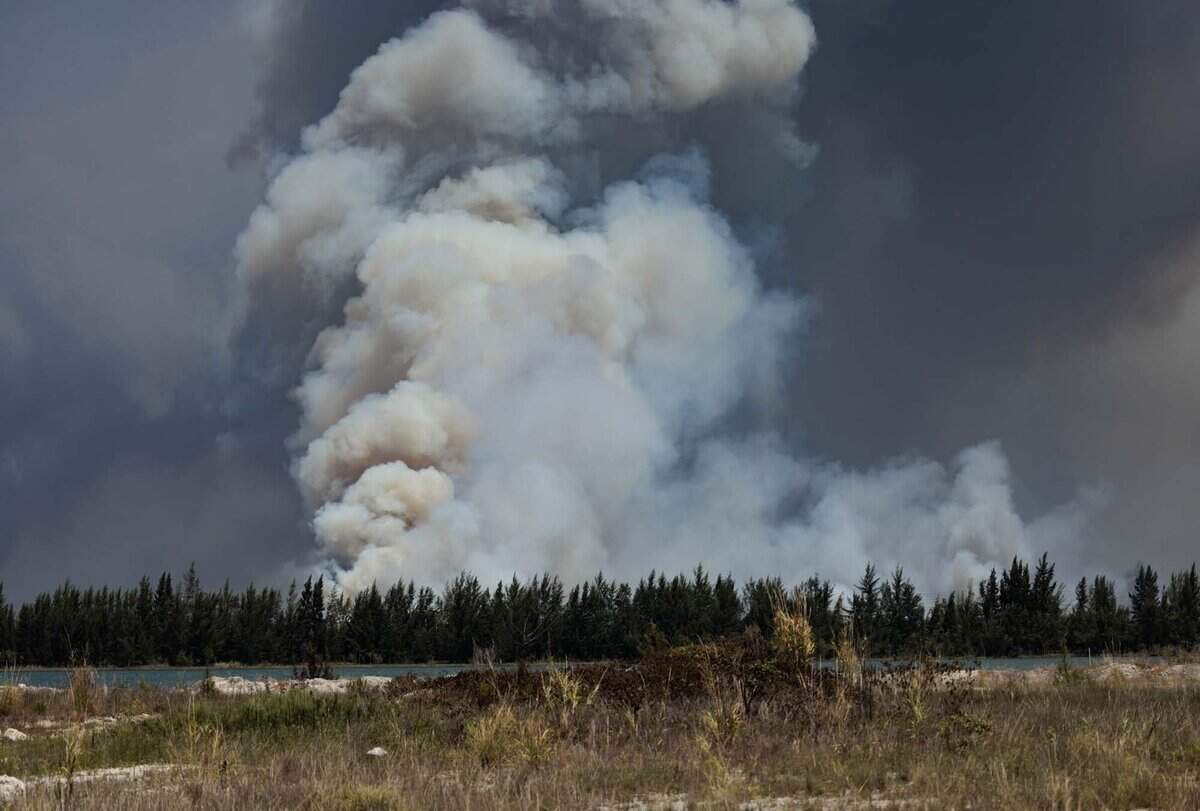 Smoke rises during a brush fire on Wednesday, June 17, 2026, in west Miami-Dade just west of Doral.