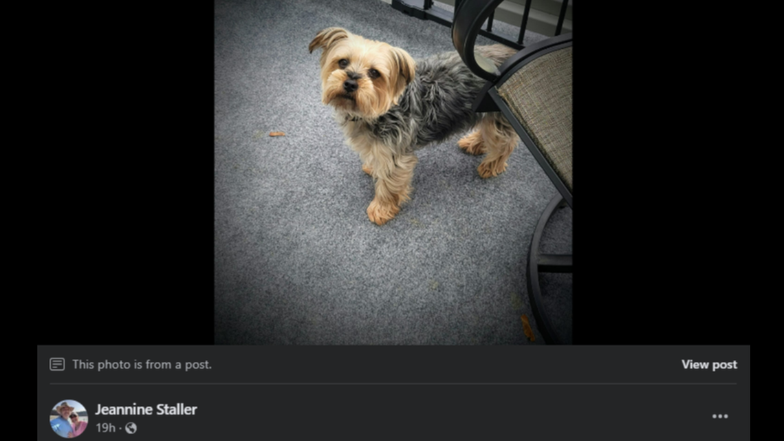 An animal control officer was arrested in connection with stealing an owner’s dog, selling it and saying it died, a New York sheriff says.