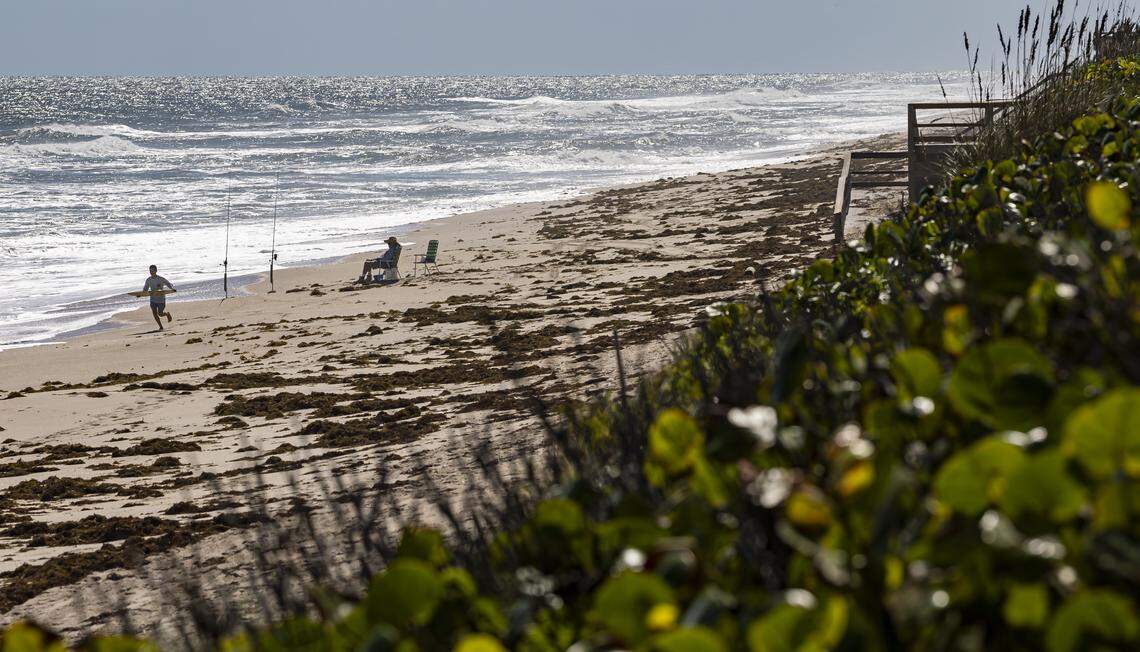 Guests enjoy the beach near the Barrier Island Sanctuary on Wednesday, Oct. 15, 2025, in Melbourne Beach, Fla.