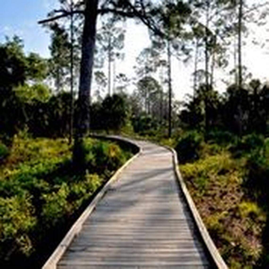 The Withlacoochee Gulf Preserve offers some of the best places in the world to see the effects of sea-level rise and climate change, according to scientists working in the area.
