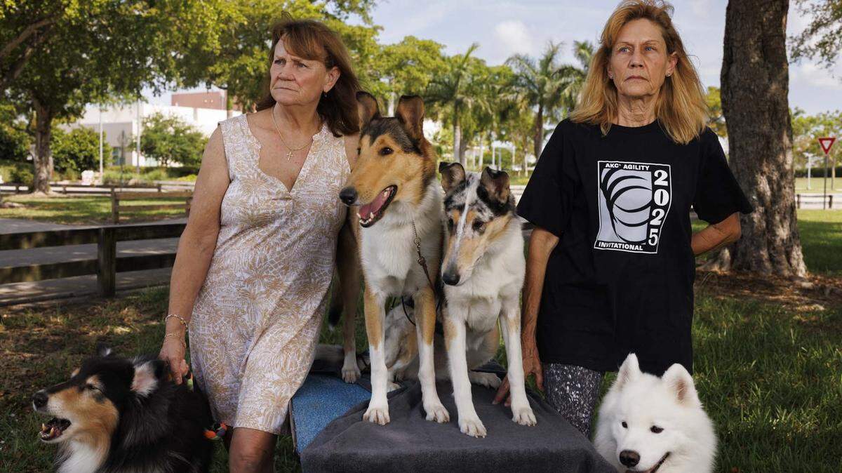 From left to right: Titan, Kate Long, vice president of South Dade Kennel Club, Quinn, Dolly, Patti Lieb, president of Miami Obedience Club, and Myr pose outside a place they previously held dog shows on Tuesday, May 12, 2026, at Tropical Park in Miami, Fla. Since Loud and Live, a Doral events company, took over renting out the park, the fees increased astronomically. Miami Obedience Club would hold free obedience classes for the community, but now they cannot afford to. “The shows helped with operation money for the club the rest of the year,” said Lieb.