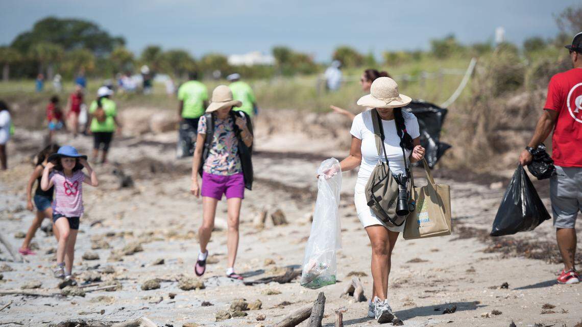 There are many ways to help Biscayne Bay. You can start with how you treat your own yard