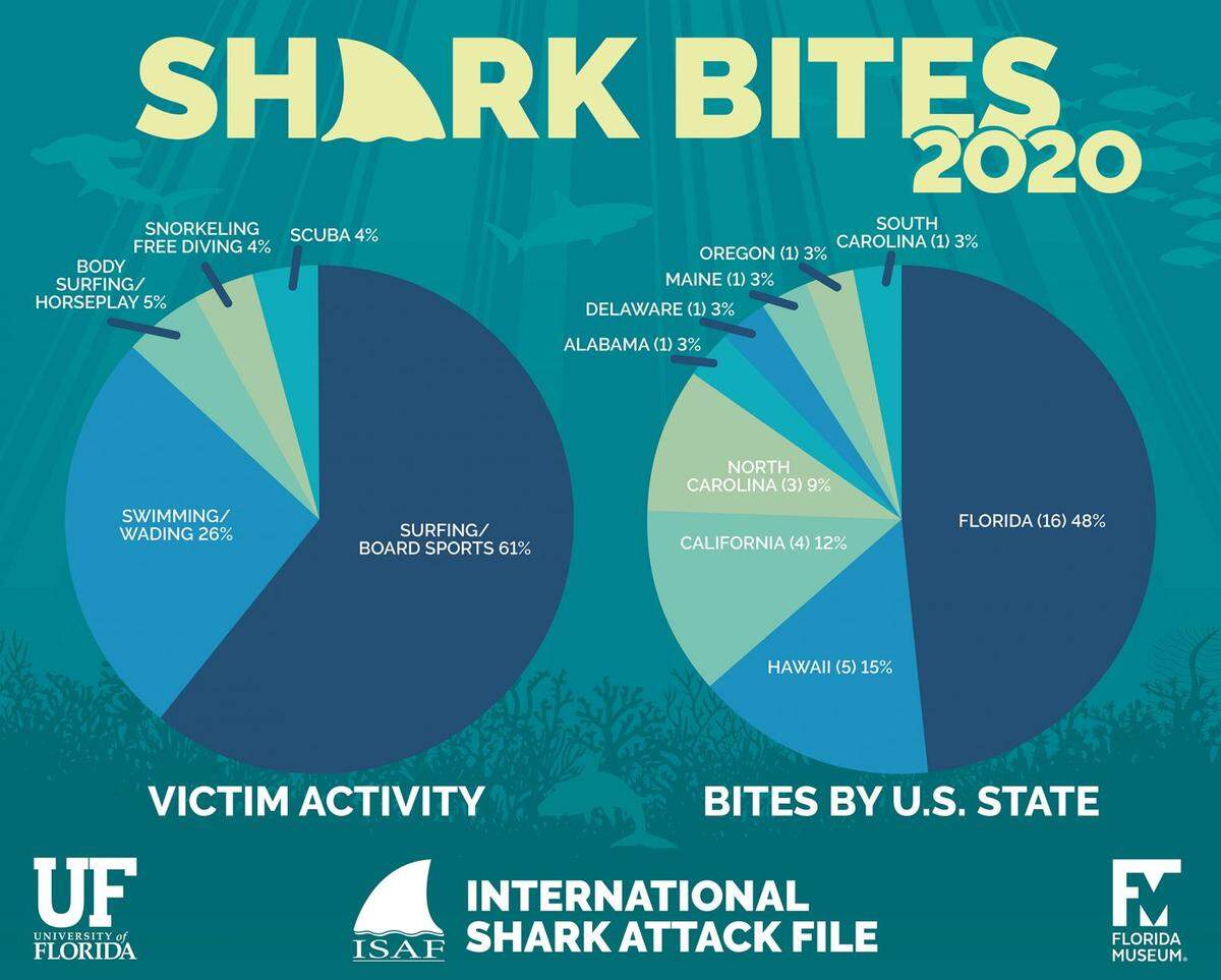 Florida’s 16 bites in 2020 represented a drop from 21 the previous year. The state is still the global hotspot for shark bites.