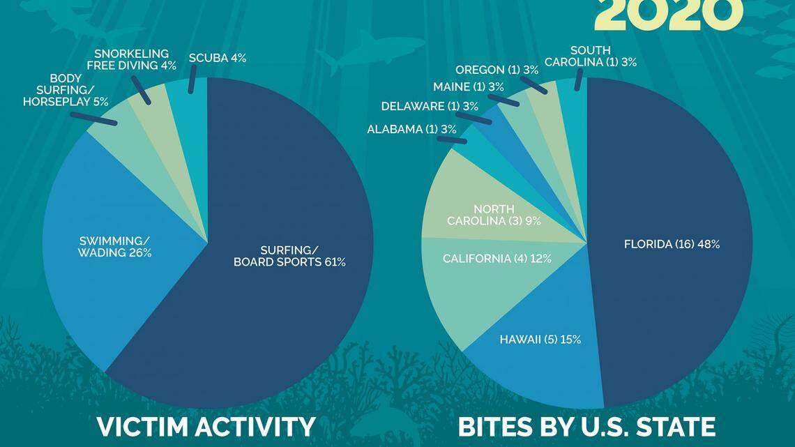 Florida’s 16 bites in 2020 represented a drop from 21 the previous year. The state is still the global hotspot for shark bites.