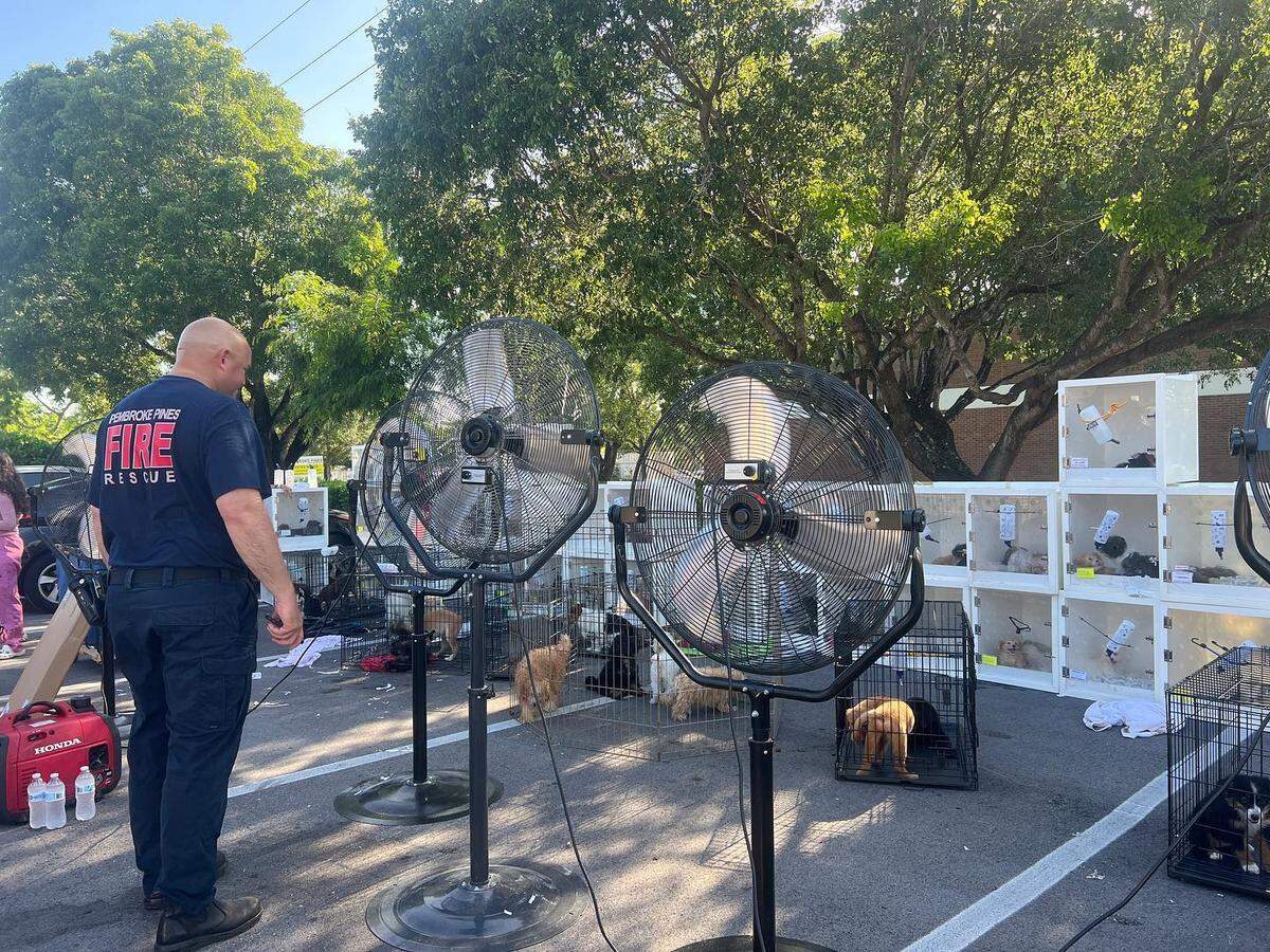 Rescuers removed around 170 puppies from the Forever Love Puppies pet store in Pembroke Pines on July, 18, 2023.