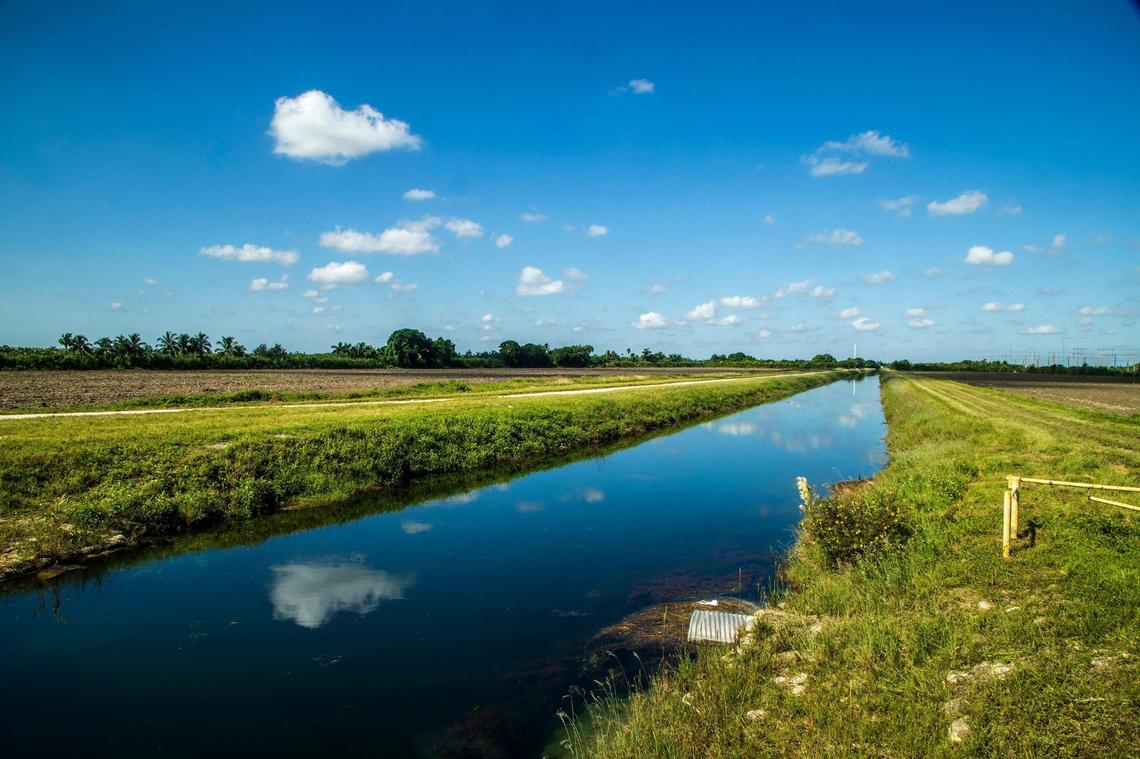 View of a farm field on a development site in South Miami-Dade on track to move inside the Urban Development Boundary after a Nov. 1, 2022, vote by county commissioners approving a commercial complex on the land.