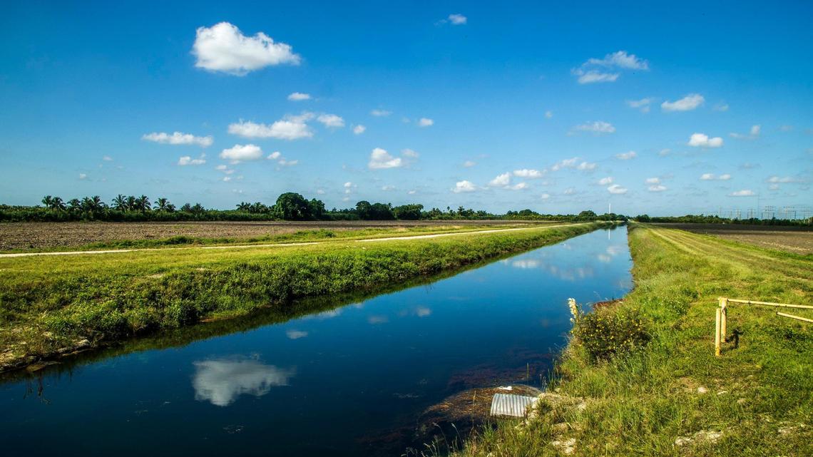 View of a farm field in Homestead, that is included in a plan to move the Urban Development Boundary for an 800-acre industrial complex known as the South Dade Logistics and Technology District.