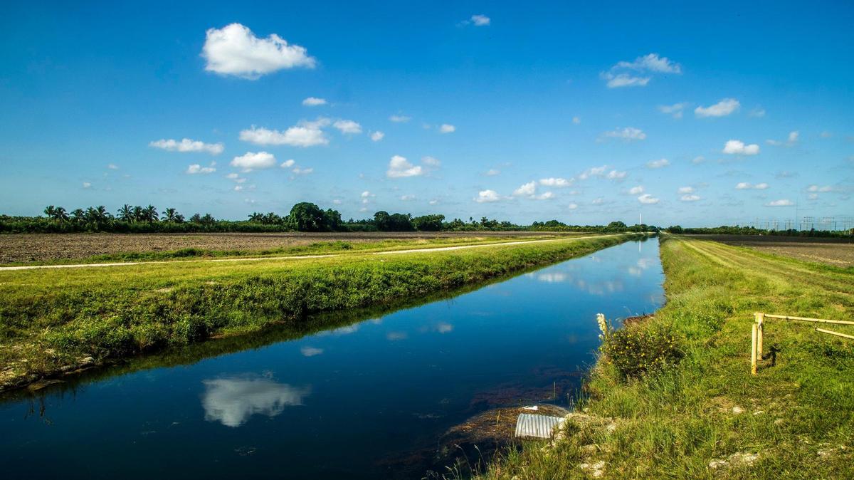 Vista de un campo de cultivo en Homestead, en una zona de desarrollo en el sur de Miami-Dade donde los urbanizadores quieren construir almacenes y otros edificios industriales como centro de empleo. Los grupos ecologistas se oponen, diciendo que el área fuera del Límite de Desarrollo Urbano pudiera ser vital para la restauración de los Everglades.
