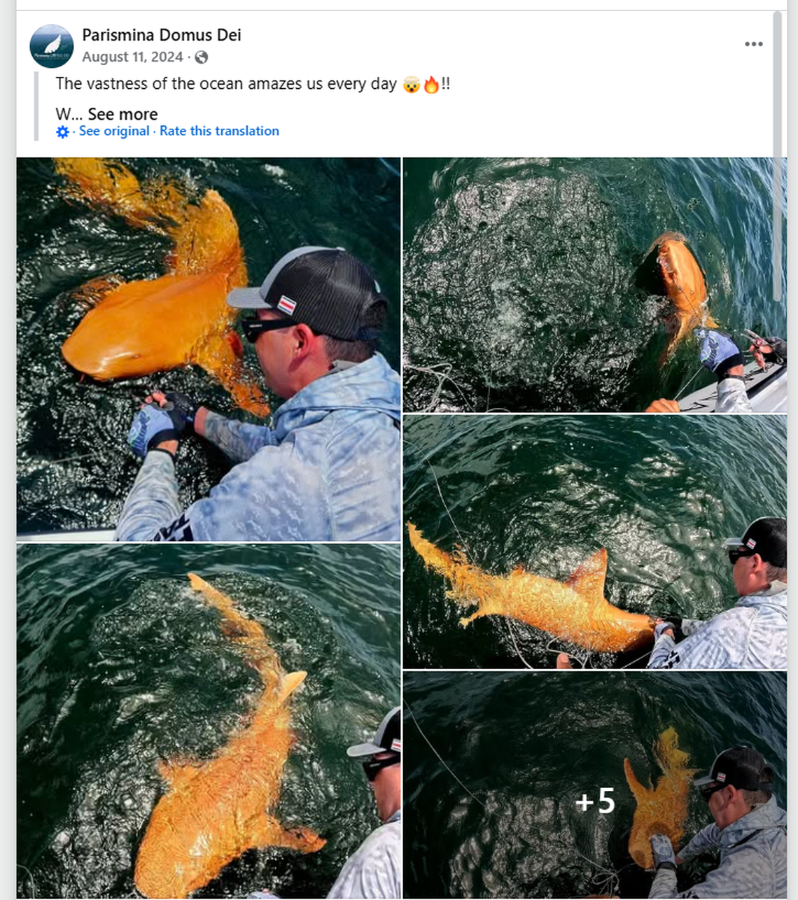 Photos show the unusual nurse shark found near Tortuguero National Park.