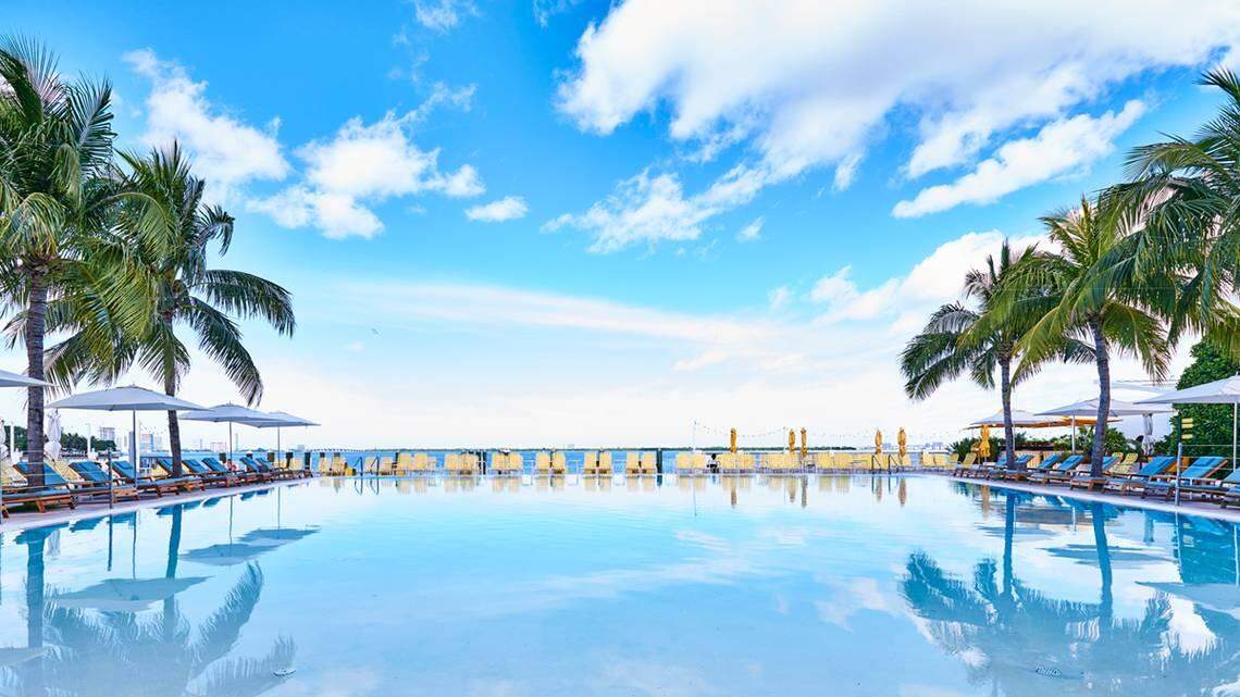 Tripadvisor just named this adults-only Miami Beach hotel one of the best in the U.S.