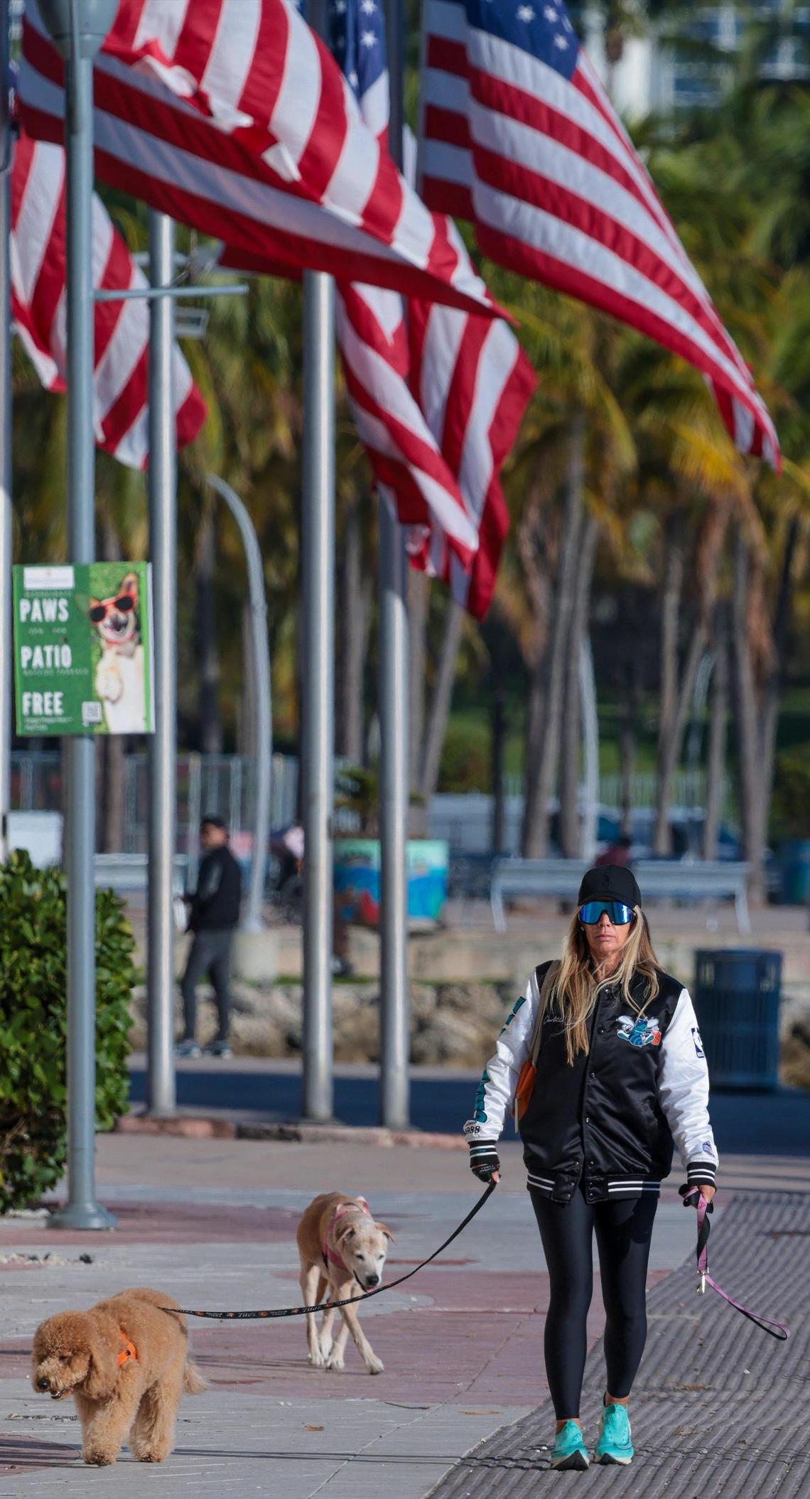 Downtown Miami resident Jill Coshland, right, walks her two dogs Tito, left, and Lulu, center, on the bay pathway as an Arctic blast hit Miami on Jan. 8, 2024.