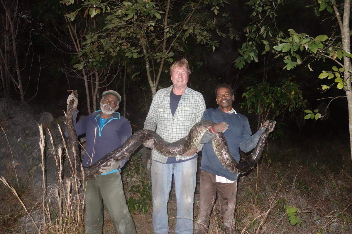 Tracker Vadivel Gopal, herpetologist Joe Wasilewski and tracker Masi Sadaiyan hold a python removed from a shaft at the old Nike missile base in Key Largo.
