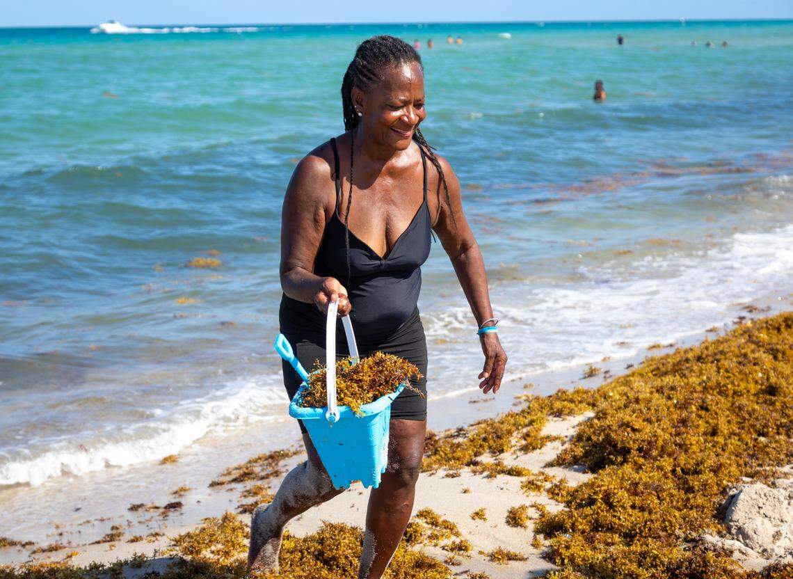 Genevieve Davidson, 70, said she doesn’t mind the seaweed at North Beach on Wednesday, May 7.