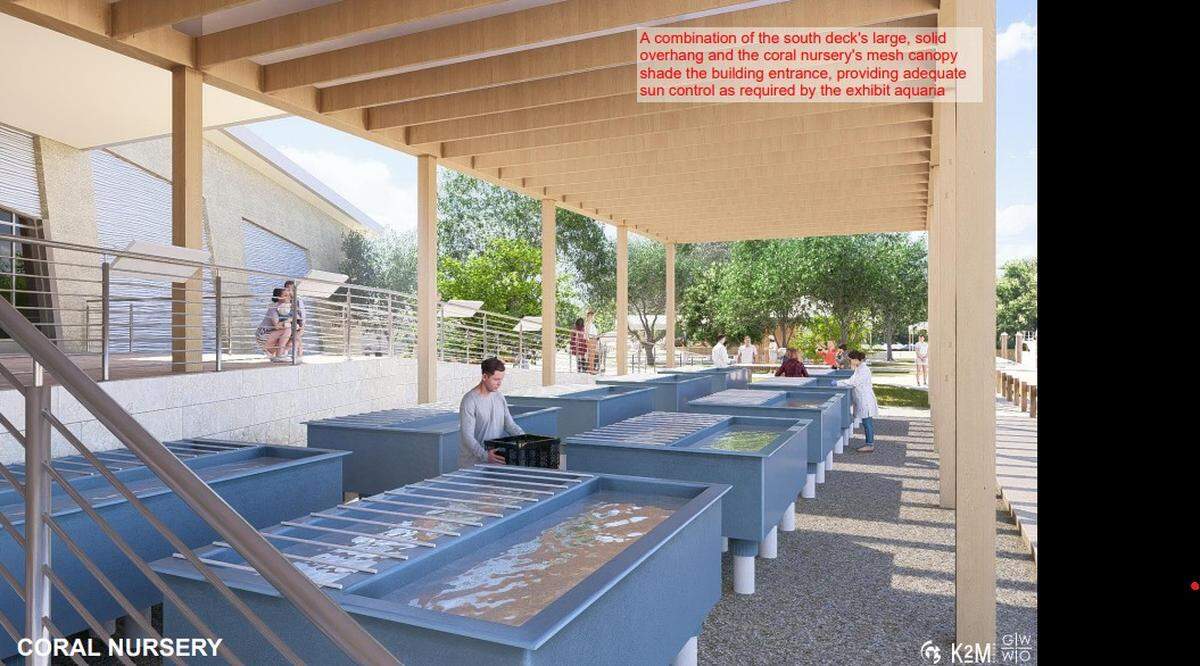 An artist rendering shows people watching fish in small tanks outside the Discovery Center & Aquarium expected to be completed in 2028 at John Pennekamp Coral Reef State Park.