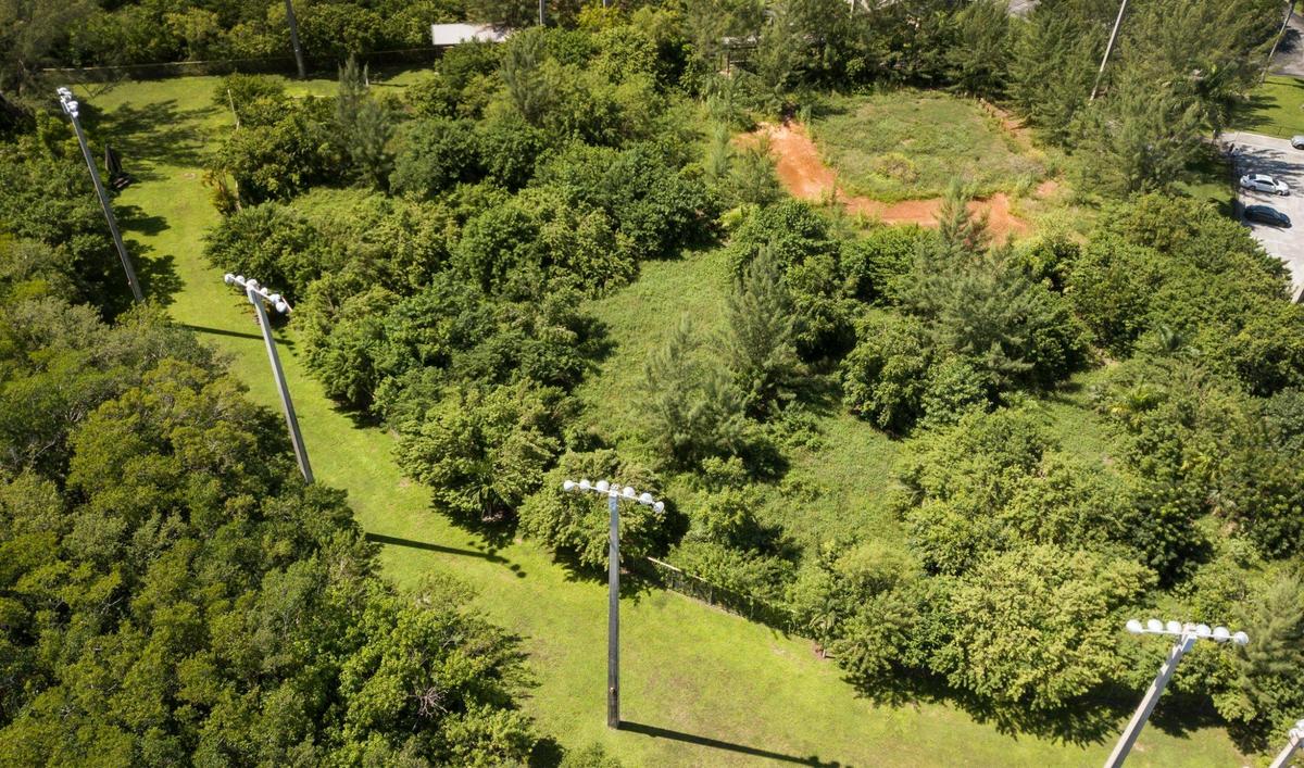 Field 2 is one of three softball and baseball fields at Chapman Field Park closed since 2014 for a soil remediation project that’s never been completed.