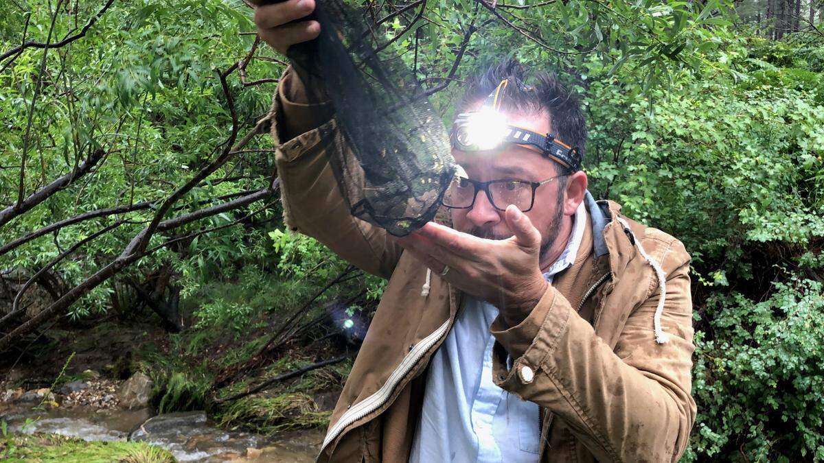 Lawrence Reeves, an assistant professor at UF, examines mosquito specimens.